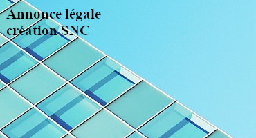 mod&egrave;le annonce legale snc